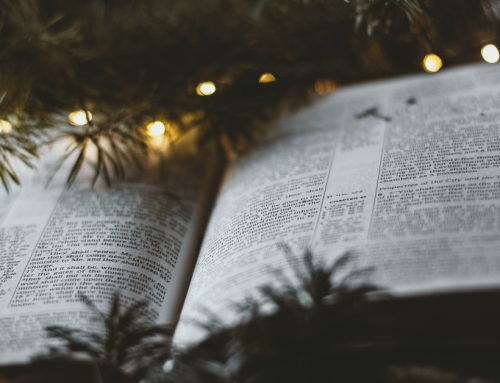 His Great Love: A Christmas Blog